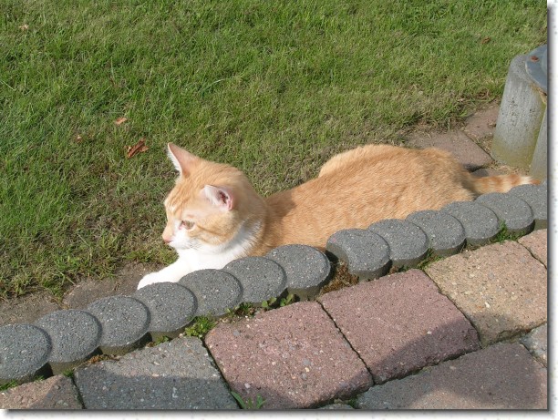 Klik hier voor de originele foto